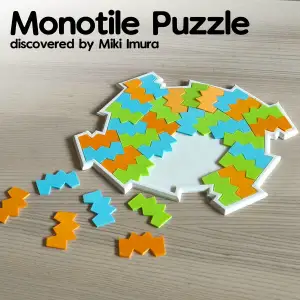 Monotile Puzzle