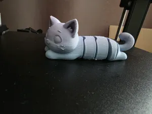 flexible cat