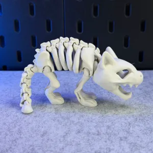 Articulated Skeleton Cat