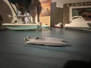 Boat speedboat  Cat Race Boat