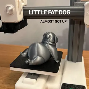 Little Fat Dog