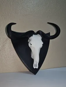 Skull Mount Shield