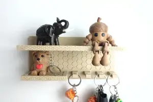 Entry Keys Holder Screw in-instalation