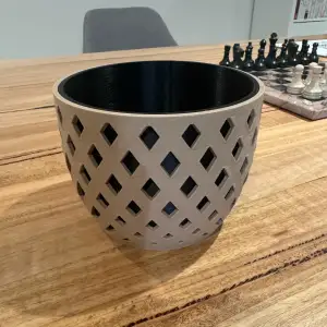 Pot Plant