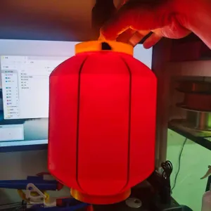 新春灯笼 !