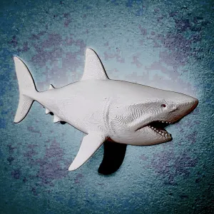 Great White Shark Wall Display