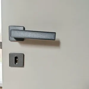 Maniglia porta interna - Interior door handle