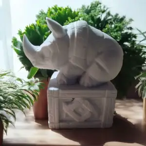 Rhino Secret Box