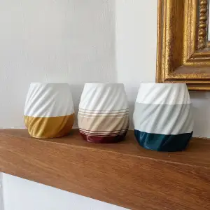 Plants cup