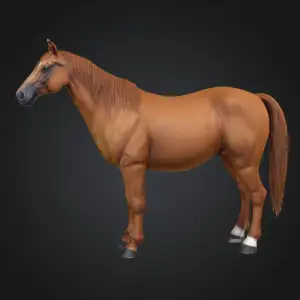 Horse