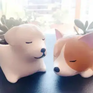 Pets DOG Flower Pot Design x6