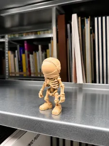 Austronaut Skeleton