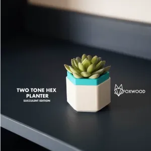 Two Tone Hex Planter Succulent Edition