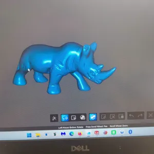 Rhino