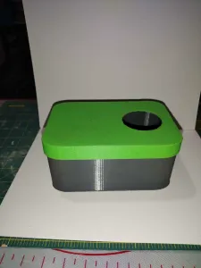 Gecko lay box