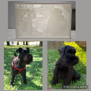 Litofania de 2 perritos personalizada