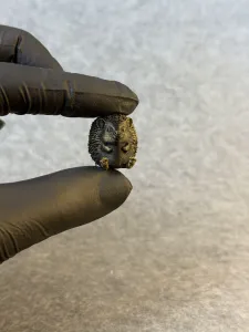 hedgehog small