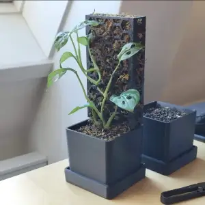 Propbox with moss pole