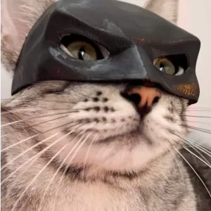 Cat Batman Mask