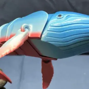 Flexi Humpback Whale