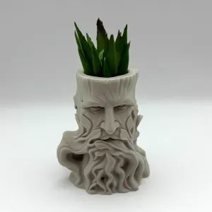 Treestub Planter