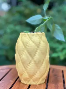 Pineapple Plant Pot