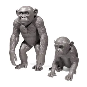 Monkeys