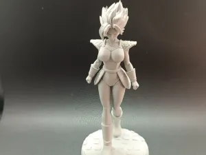 Female Super Saiyan Warrior - Dragon Ball Anime Manga