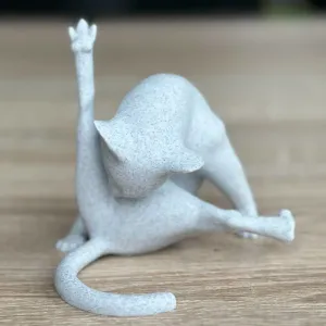 Funny cat pose