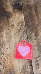 heart medallion/medal/necklace