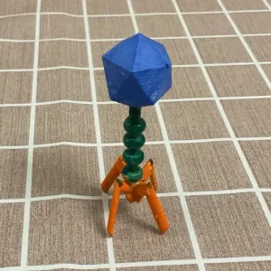 Bacteriophage-virus