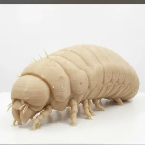 worm maggot bug