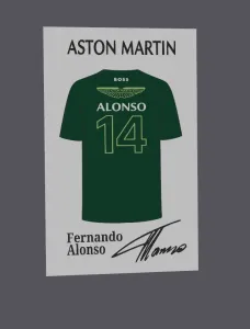 F1 - Aston martin Fernando Alonso jersey display