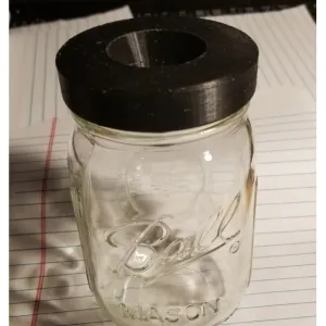 FLY CATCHER