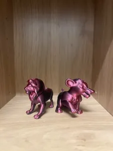 LION simba old and jong
