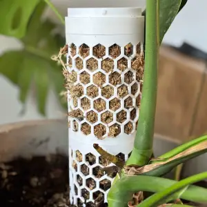 StackPole – Modular Self-Watering Moss Pole