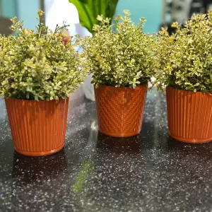 Yet another Plant Pot (for Display)