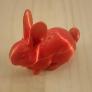 Bunny