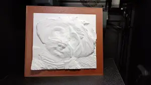 Photo frame for recif sculpture