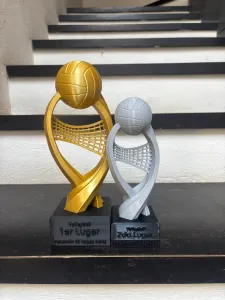 trofeo volleyball