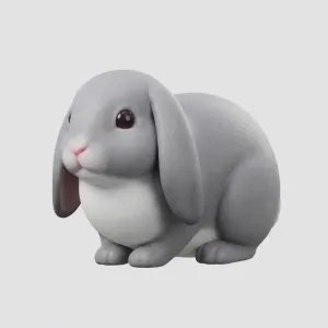 Lop Ear