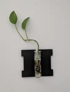 HOME Plant Vials Holder