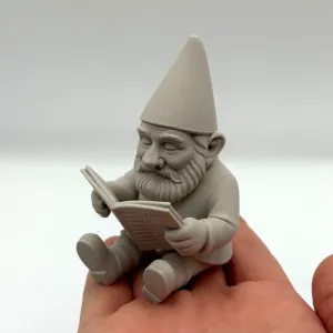 Reading Garden Gnome