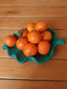 树叶果盘