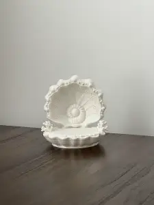 海底珊瑚海螺贝壳底座