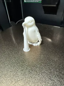Fairy Penguin