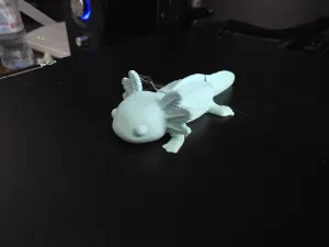 Подвижный аксоль (Ajolote articulado)