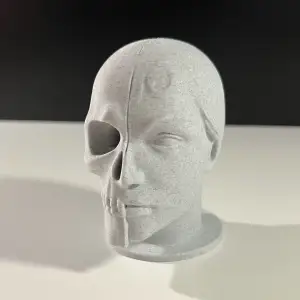 Masked Skull