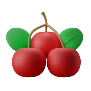 Berries