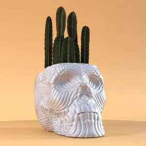 SKULL FLOWER POT